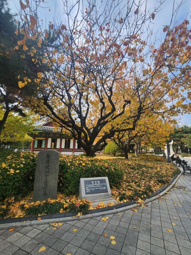 여유로움이 느껴지는 대구 히든 플레이스 경상감영공원🌿