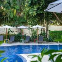 Pets friendly hotel Phuket🐶🐱