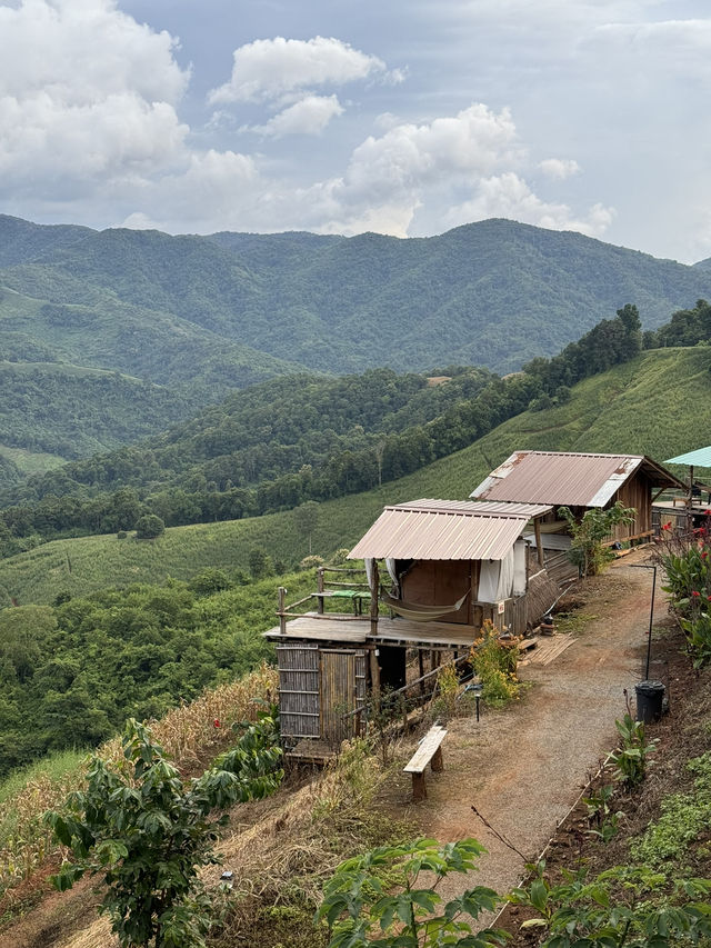 ม่อนแม่เติ๊ก | จ.แพร่ 🏡⛰️✨🌳