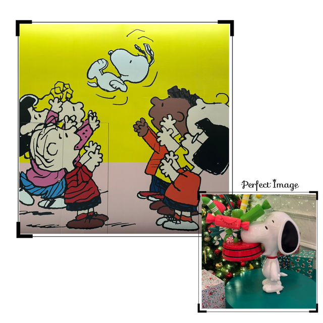 Snoopy嚟啦🧸🎉唔好錯過