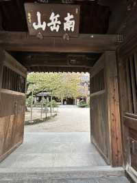 木造坐像で日本一大きい福岡大仏	