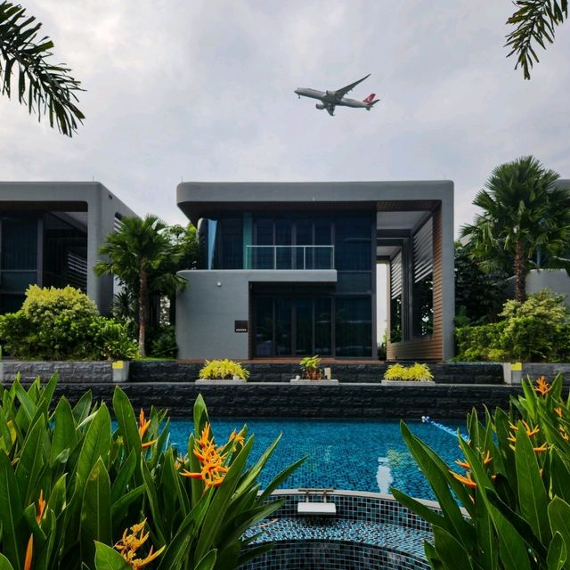 Plane-Watching by the Pool?