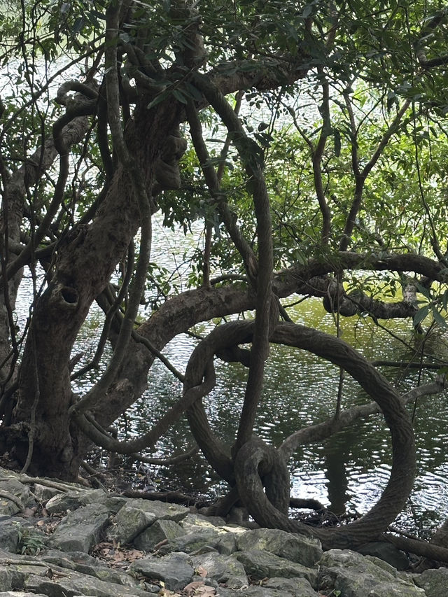 流水響之旅