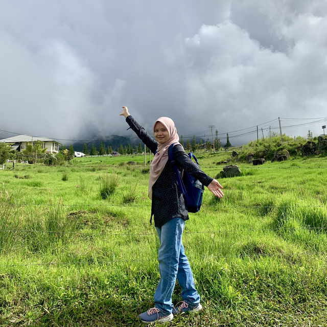 Solo Adventures in The Heart of Kundasang's Dairy Heaven