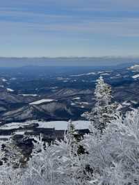 🏂新手也能從山頂滑下來⛷️｜超長綠線5,500 公尺✨｜日本安比高原滑雪場❄️