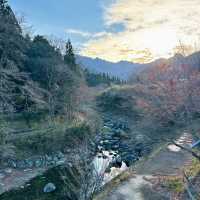 【竹田】最高！秘境の美食民宿✨ここに泊まる為に旅する価値あり✨