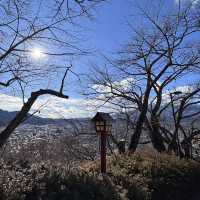 Mount Fuji Views in December