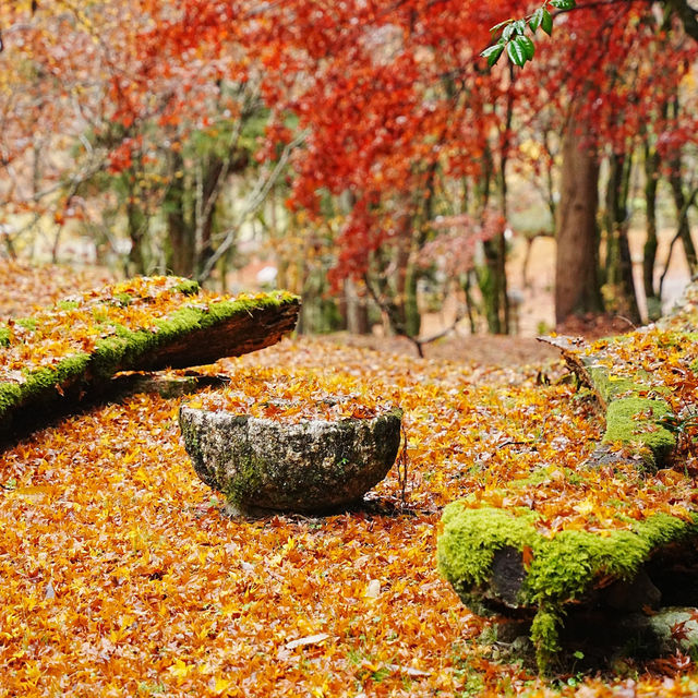 【滋賀県】鶏足寺