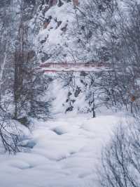 【冬の定山渓】雪の絶景と温泉を堪能