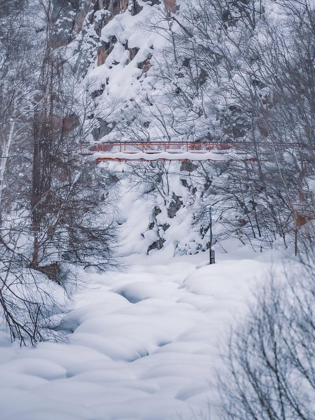 【冬の定山渓】雪の絶景と温泉を堪能