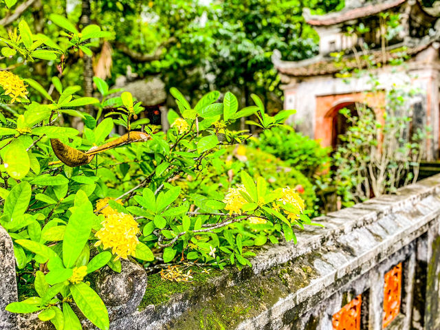 Temple of Emperor Đinh Tiên Hoàng..닌빈