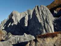 Flaring Rock Forest [Moshi Park in Autumn]