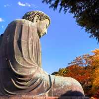 Kamakura Daibatsu