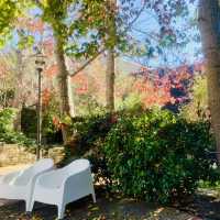 Holiday in Monterey, California