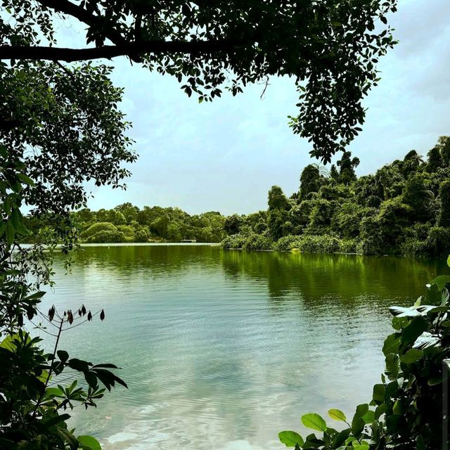 MacRitchie Reservoir Park
