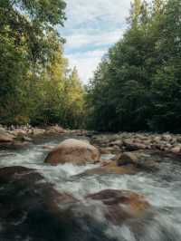 溫哥華林恩峽谷公園 Lynn Canyon