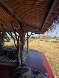 Meena Cafe 