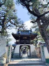 日本景點🇯🇵特式水上佛堂🩵