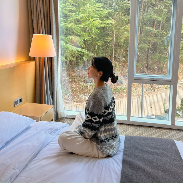 선착순으로 방 배정해준다? 양양 낙산비치호텔 숲뷰 🌳