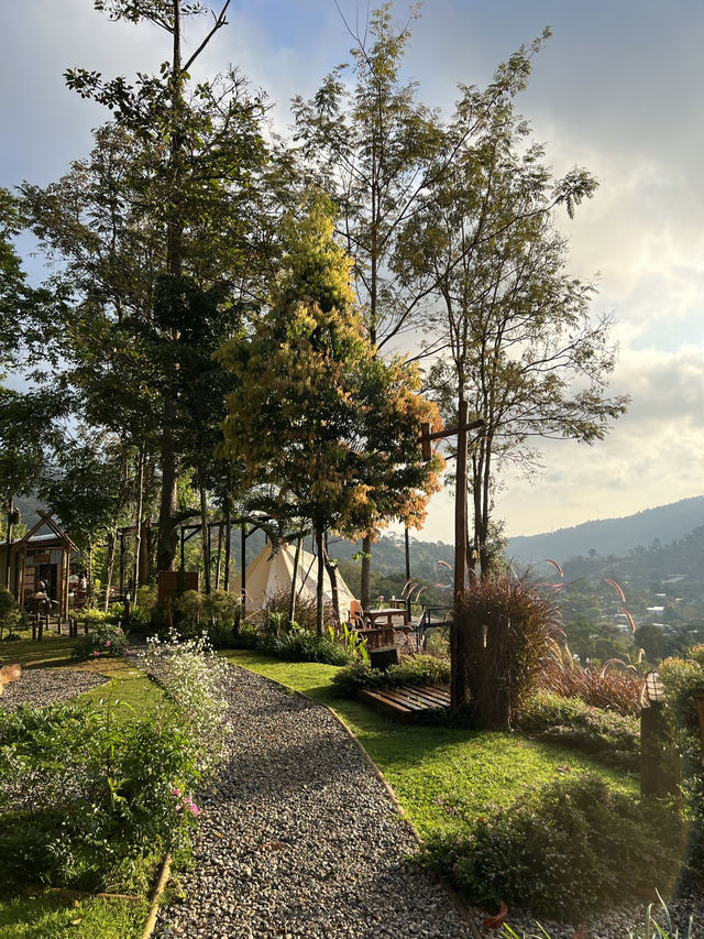 🌲หนาวนี้ที่เชียงใหม่⛰️🌷