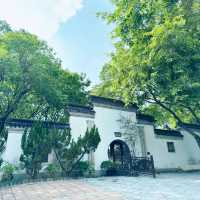 九龍寨城公園：歷史與自然的美好之旅 🌸🏞️ 