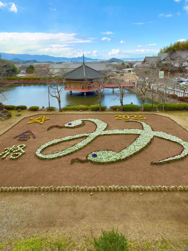 奈良 ❤︎願いを叶えるスポット🈴 ジャンボな干支花絵🐍  