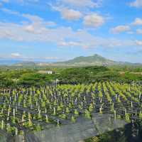Free Kampot Pepper Tasting!