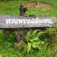 สะพานเรือนยอดไม้ จ.ตรัง
