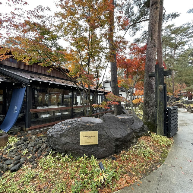 November Moments at the Foot of Fuji