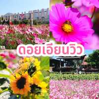 ดอยเอียนวิว  จ.เชียงราย  