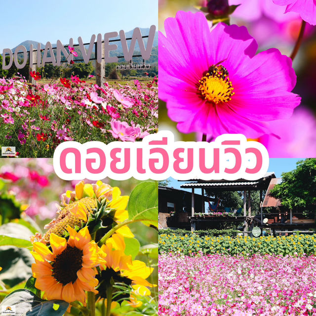 ดอยเอียนวิว  จ.เชียงราย  