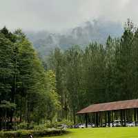 Tranquil Retreat at Pineyard Café
