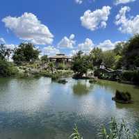 Different from any Japanese garden I visited before! 
