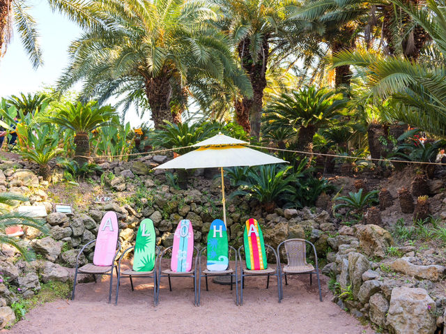 쥬라기월드에 온 것 같은 이국적인 제주 상가리 야자숲🌴
