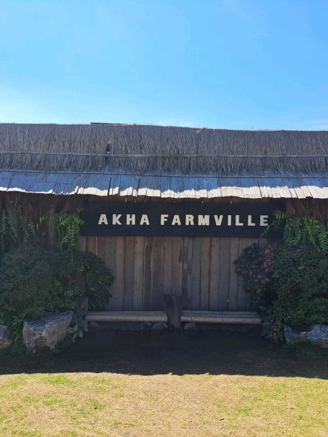 Akha Farmville ดอยช้าง