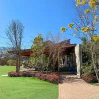 A Peaceful Retreat in Nature: Cafe Azalea