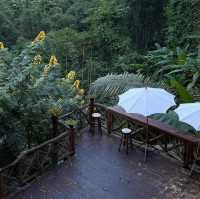 Tree House Hideaway, เชียงใหม่