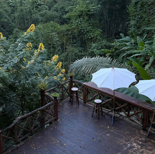 Tree House Hideaway, เชียงใหม่