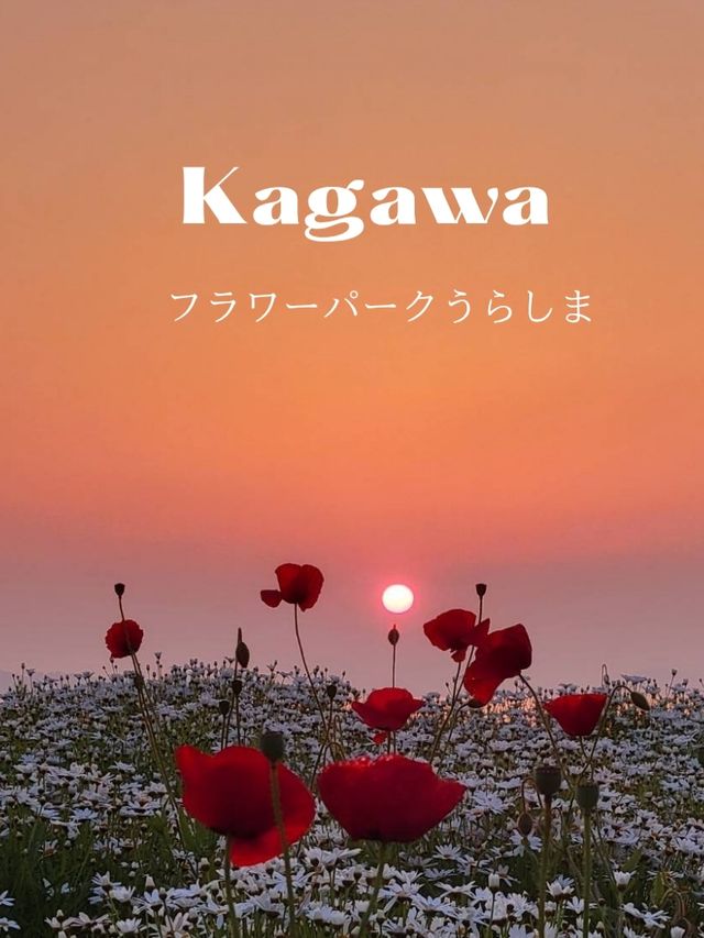 【瀬戸内海を一望する春限定の海辺の花畑】