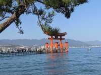 ☾︎広島☽︎ 海に浮かぶ鳥居が象徴的