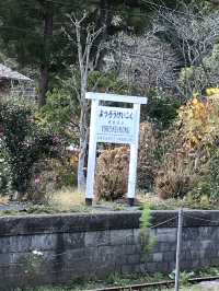 【千葉】養老渓谷で自然を感じて🪽