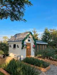 Audrey Hobby Farm 