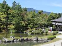 Zen Reverie: Discover Tenryu-ji Temple