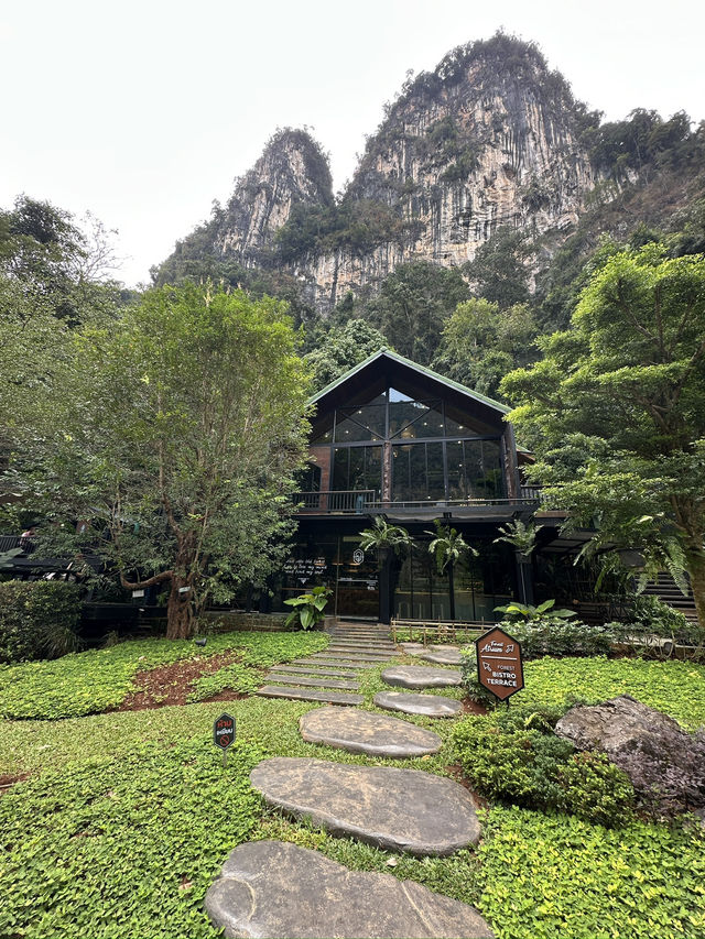 Coffee house lost in Krabi forest!