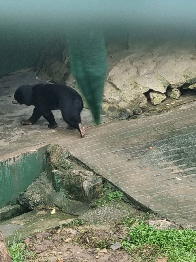 귀여움 폭발! 다양한 동물들의 매력 🦓