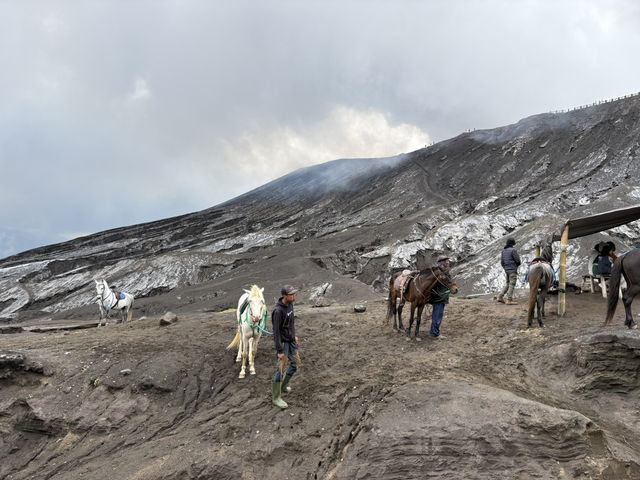 婆羅摩騰格塞梅魯國家公園｜火山冒煙好震撼