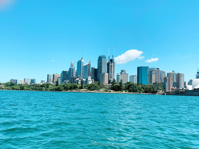 Sydney Harbour Cruise: A Scenic Voyage Across the Water