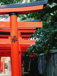 景點推薦：根津神社——東京近郊的千本鳥居與百年古韻