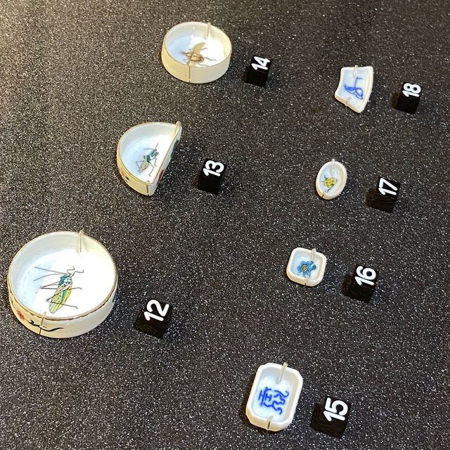  鳴蟲之聲—細聽自然的藝術與文化
