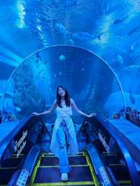 บึงฉวาก สวรรค์ของคนรักปลา 🐟🐠